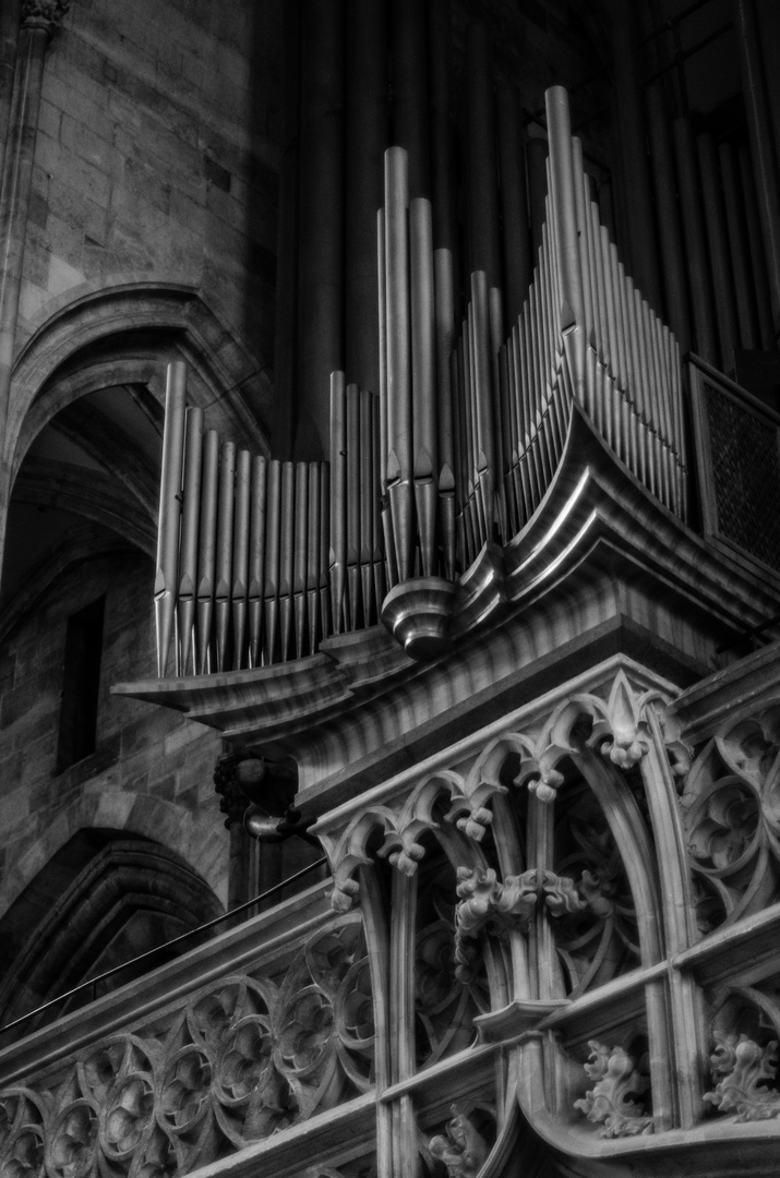 Orgel in St.Stephan