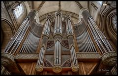 Orgel Münster Dom