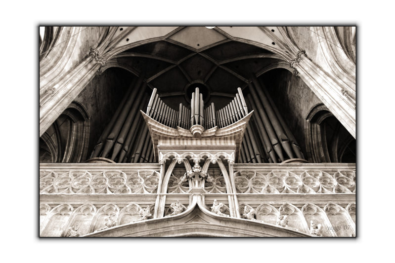 Orgel Stephansdom