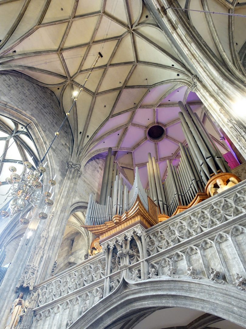 Orgel Stephansdom