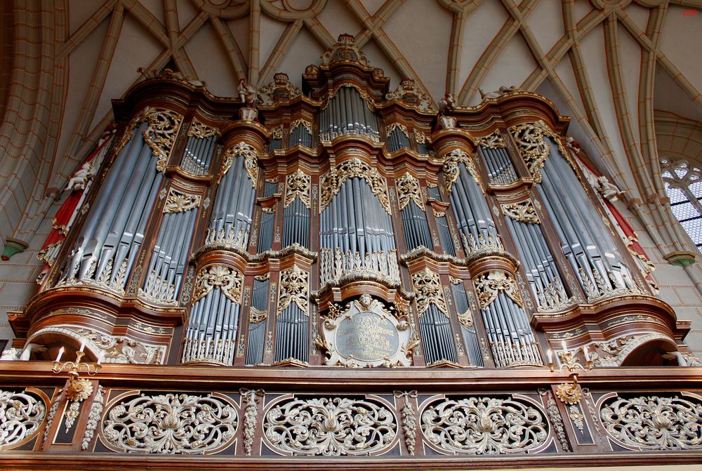 Orgelempore in der Schlosskirche zu Altenburg