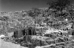 "Orgelpfeiffen" in Namibia 1995