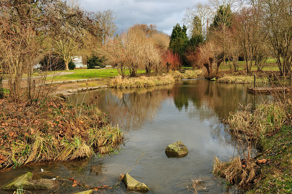 Orginal/ Im Grüttpark z´Lörrach