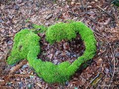 Orginal WC Ente aus dem Wald von Seewald-Besenbach