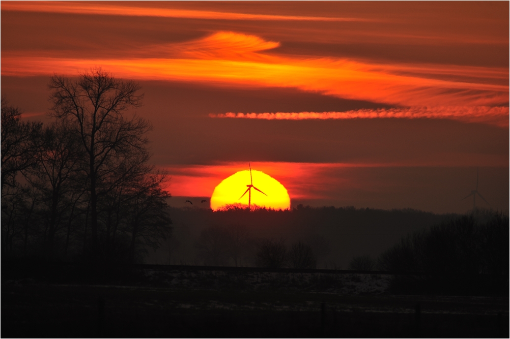 Orginalbild unbeschnitten