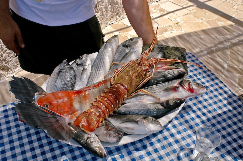 Orgoglio pescatore