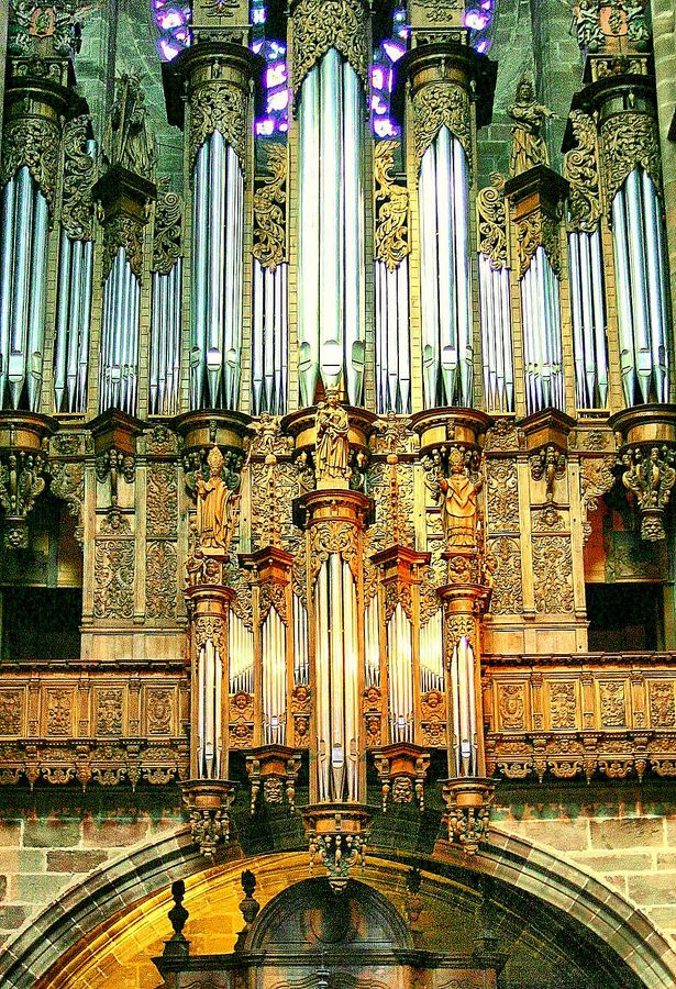 ORGUE