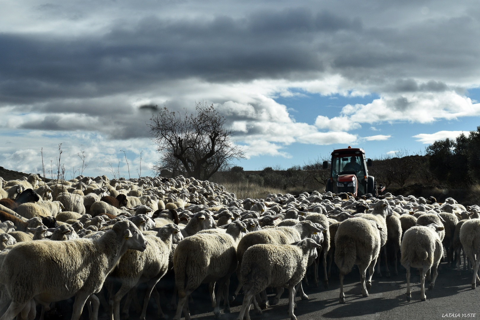 Orgullo rural