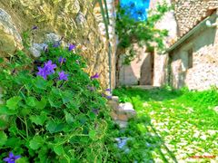 Orient _ Carrer de Sant Jordi