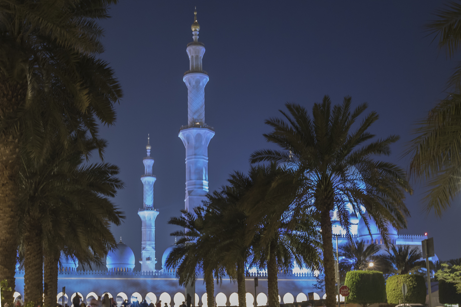 Orient_Abu Dabi_Sheikh Zayed Grand Mosque bei Nacht