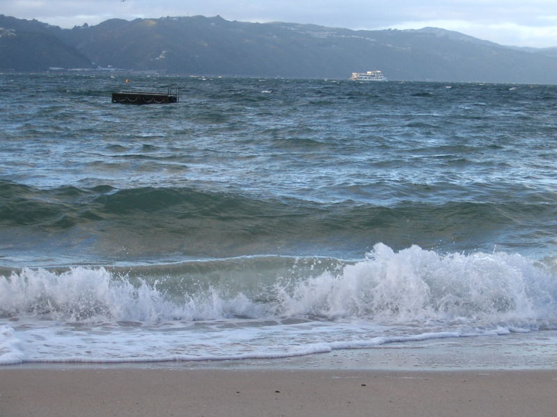 Oriental Bay, Wellington