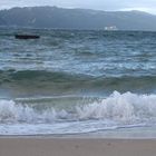 Oriental Bay, Wellington