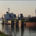 ORIENTAL GERBERA Tanker, Rotterdam