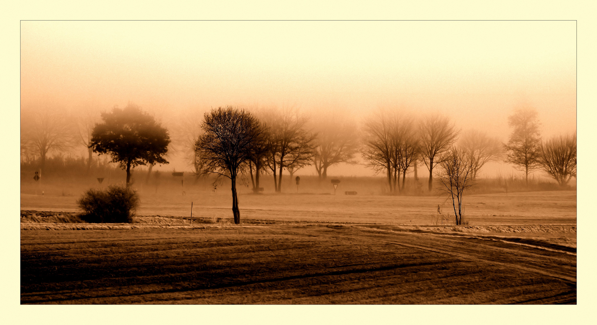 Orientierunglosigkeit an einem Novembermorgen