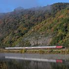 Orientrotes Schätzchen an der Mosel