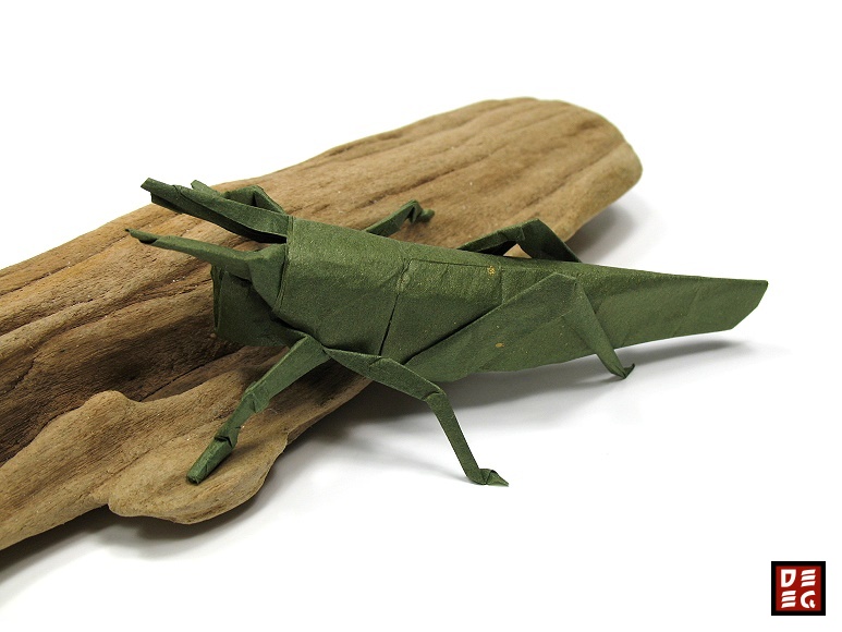 Origami Grashüpfer - Locust by Rudolf Deeg