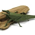 Origami Grashüpfer - Locust by Rudolf Deeg