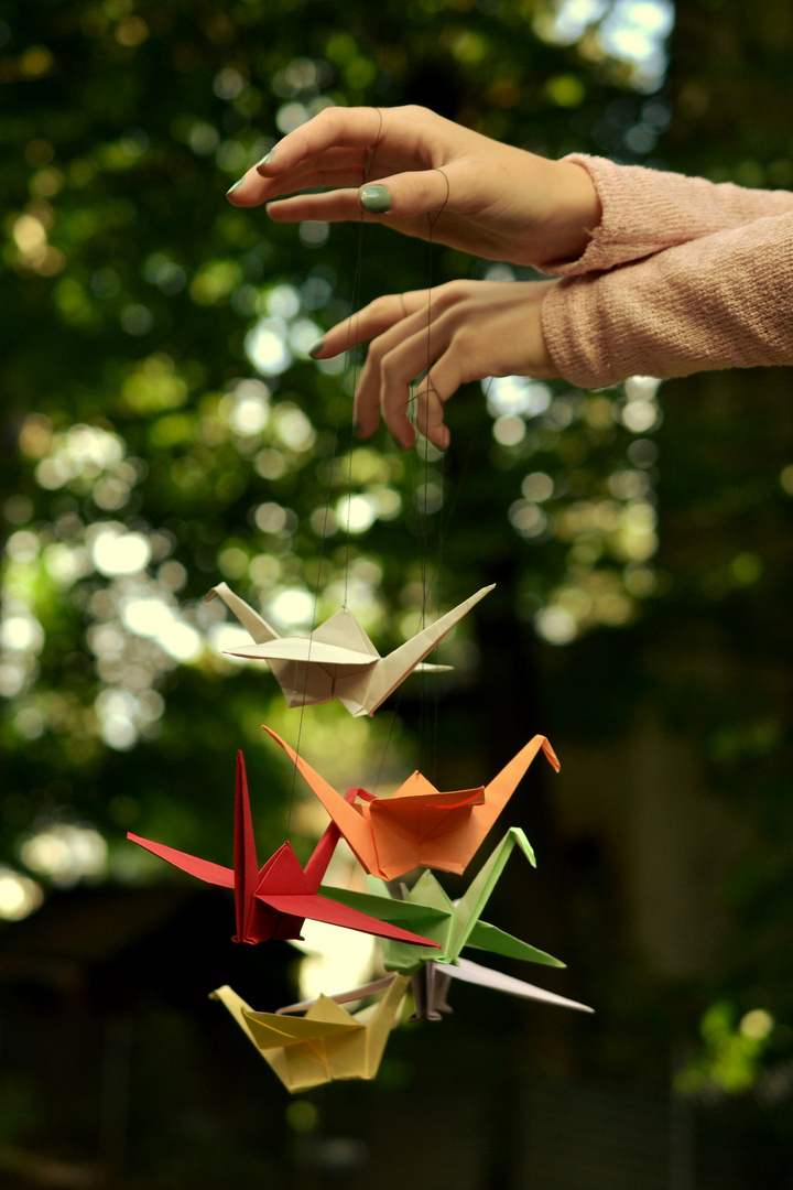 Origamis