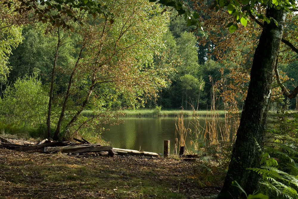 original herbst in frankreich