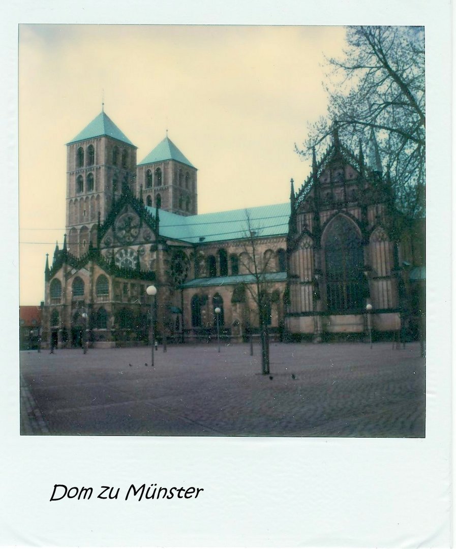 Original - Polaroid