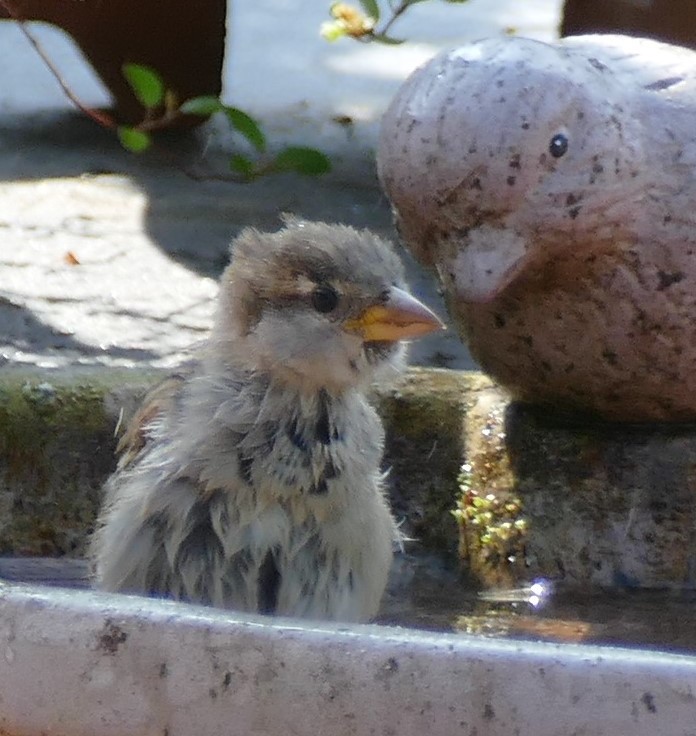 Original und Fälschung