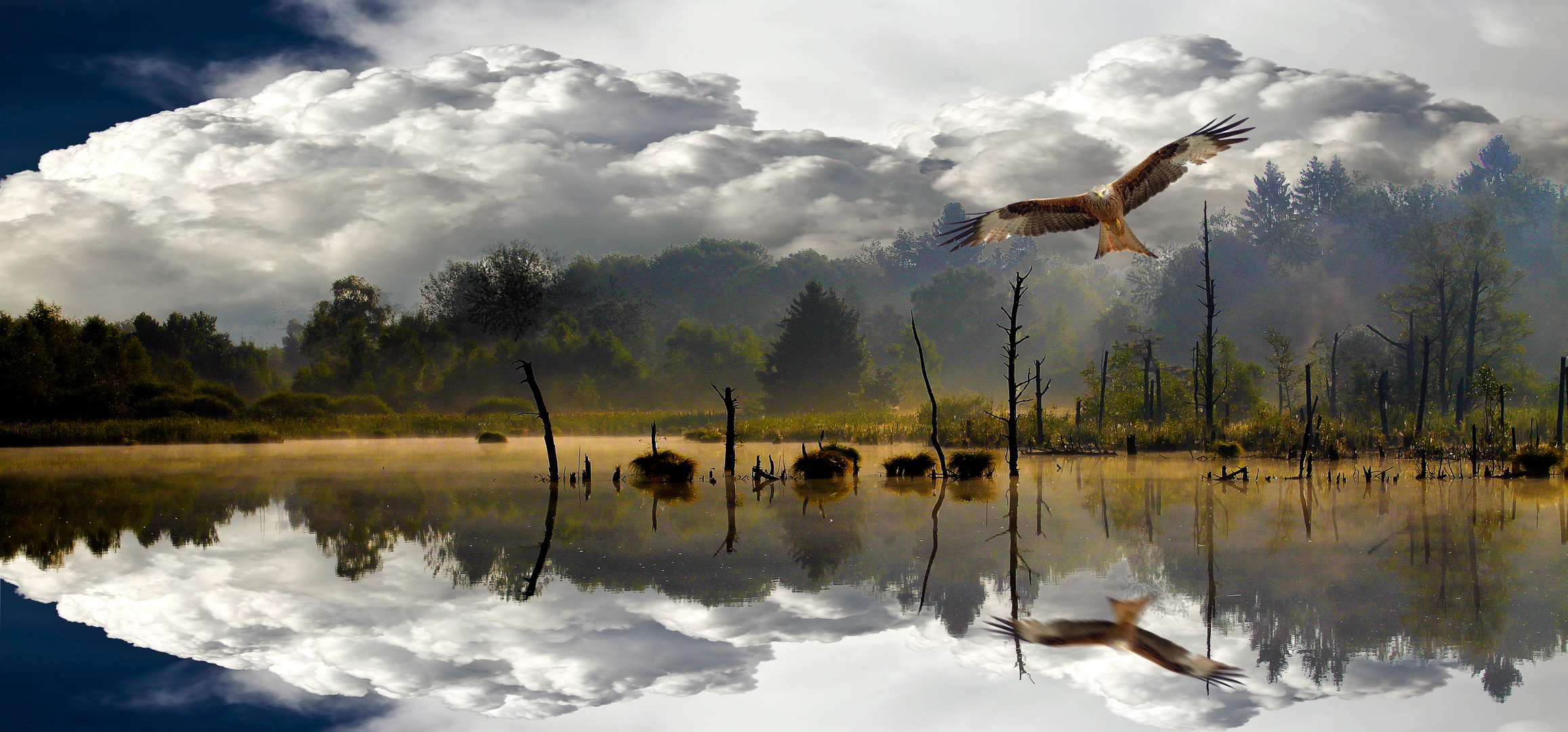 Origine du Neckar - Neckarursprung Foto & Bild | natur, herbst Origine du Neckar - Neckarursprung Foto & Bild | natur, herbst