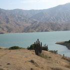 orillas de la laguna del gallito ciego