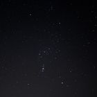 Orion  (1) 