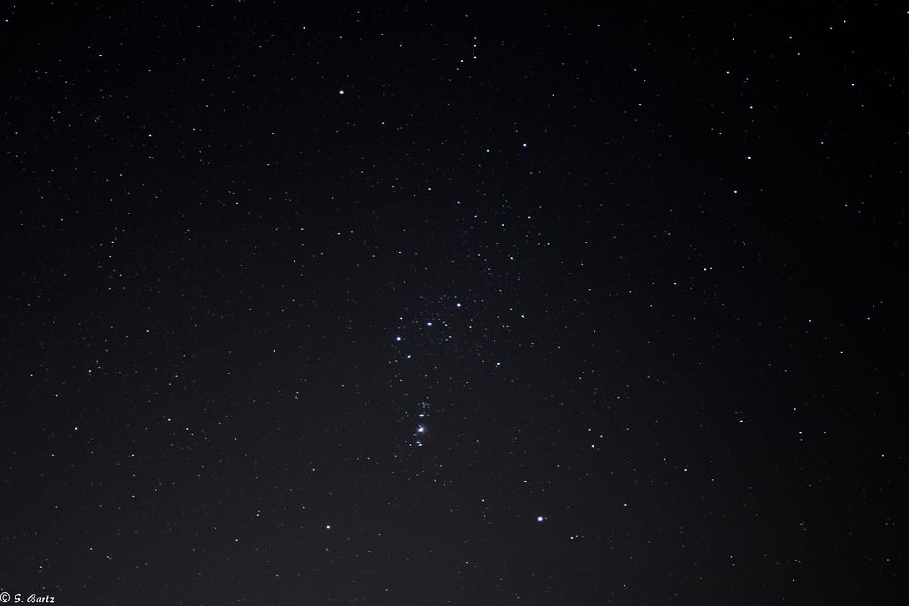 Orion  (1) 