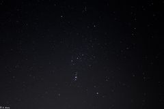 Orion  (1) 