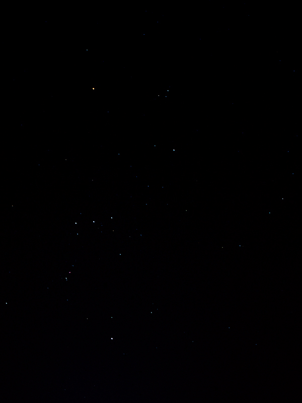 Orion