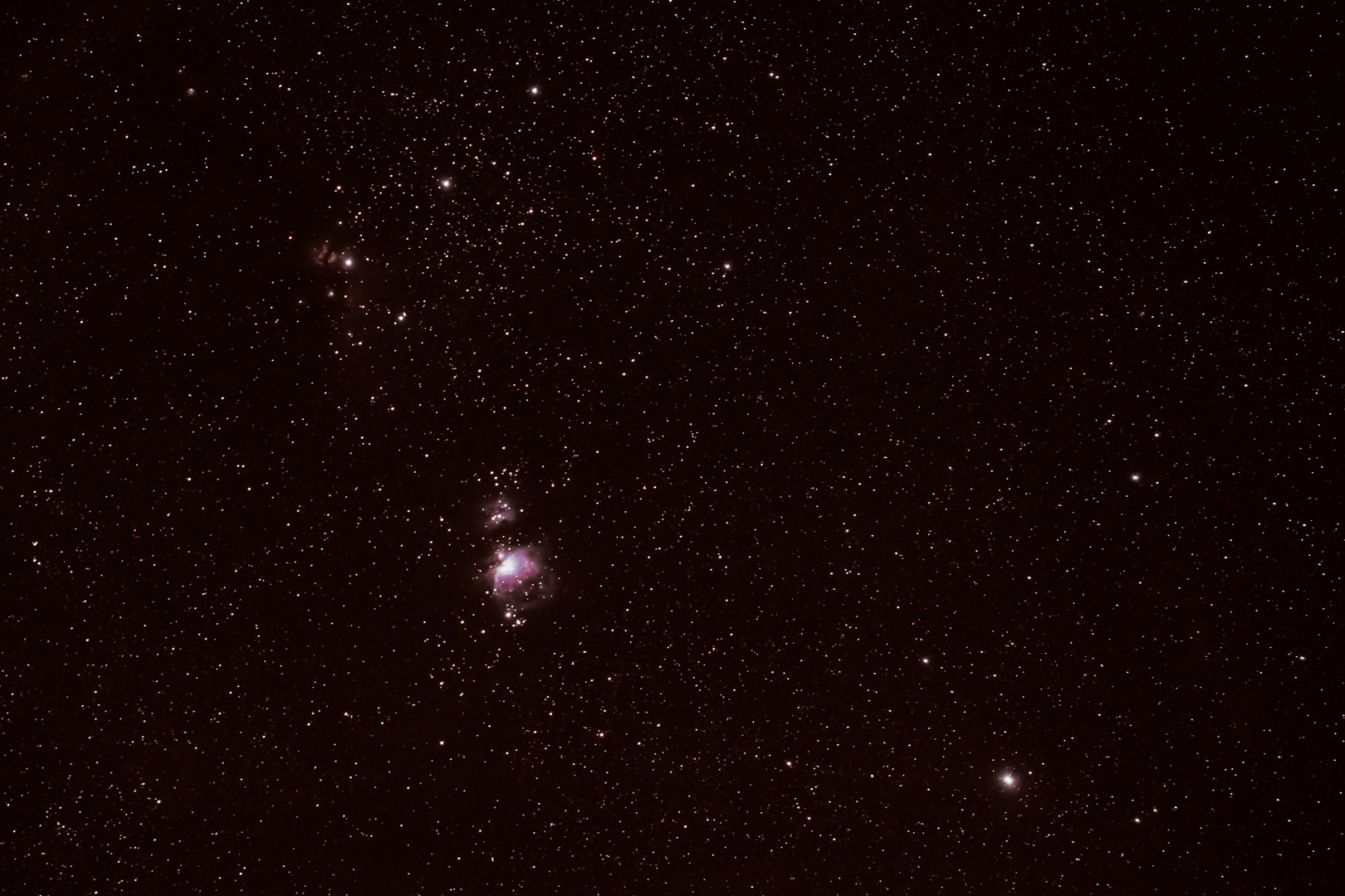 Orion