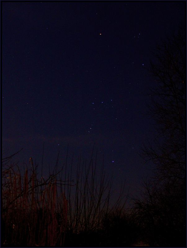 Orion