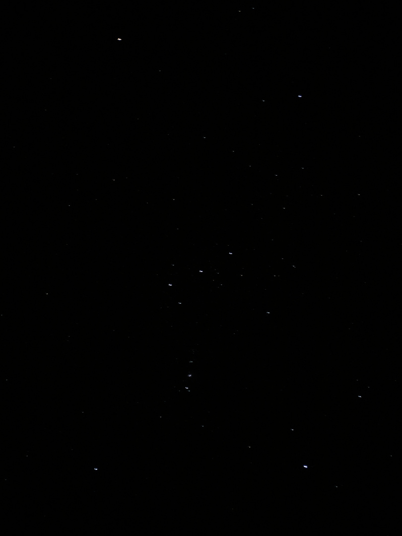 Orion