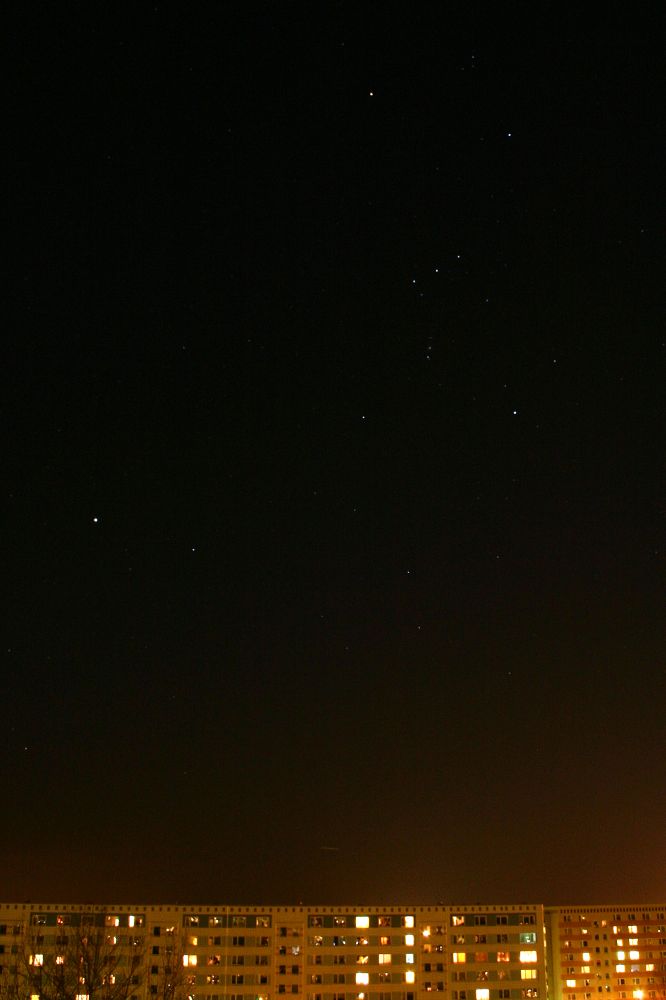 Orion