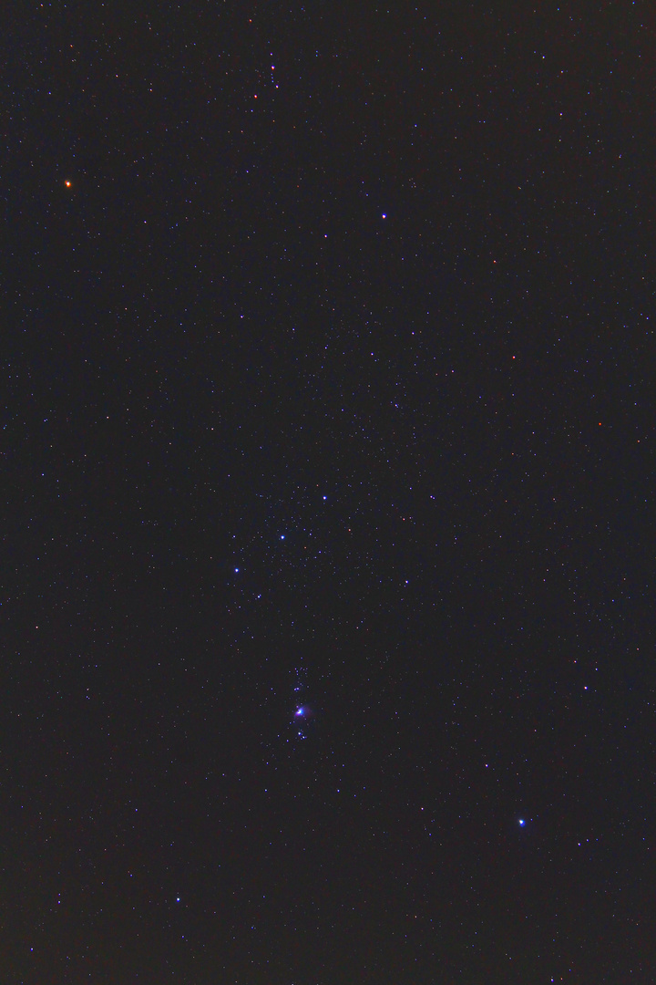 Orion