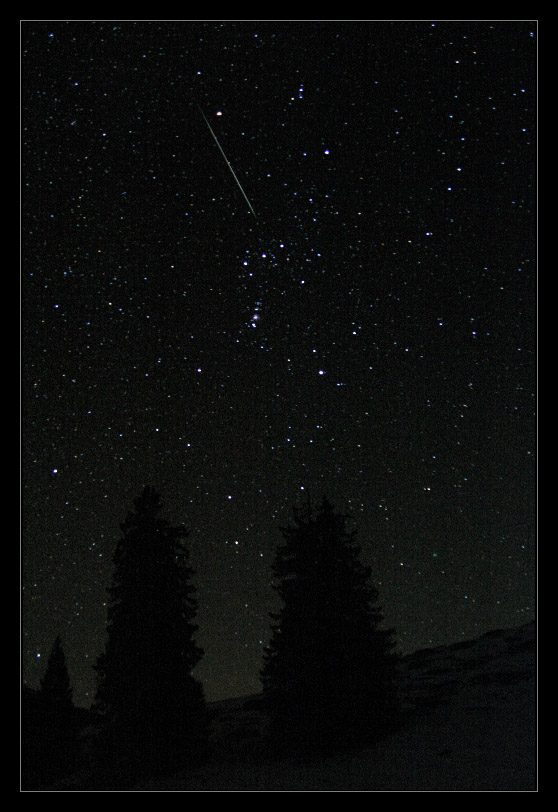 Orion, Bäume und eine Sternschnuppe (und ein Komet)