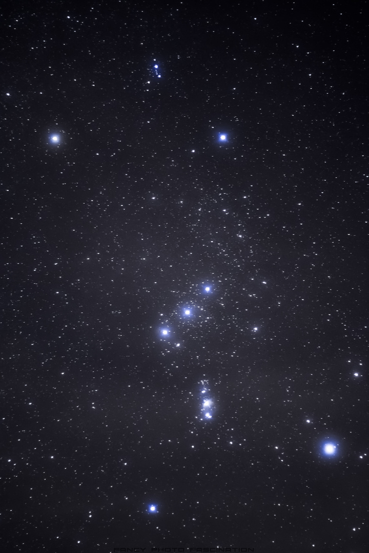 Orion