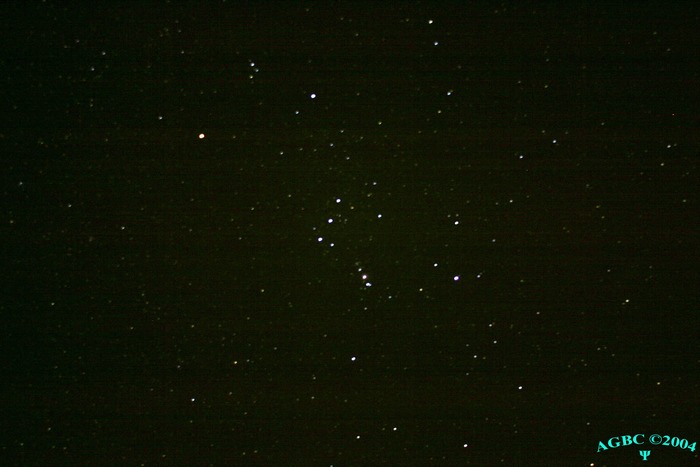 Orion