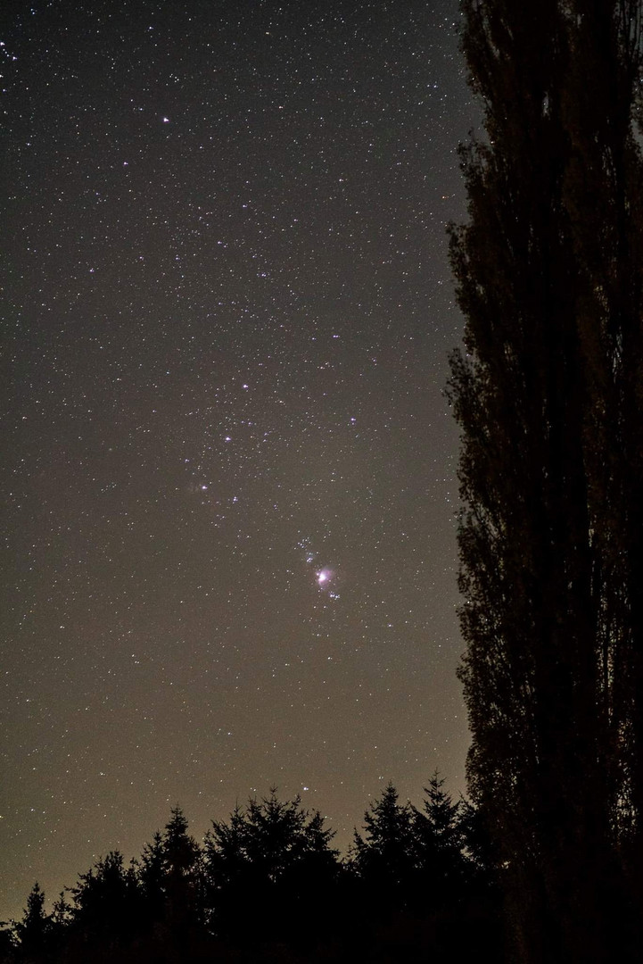 Orion