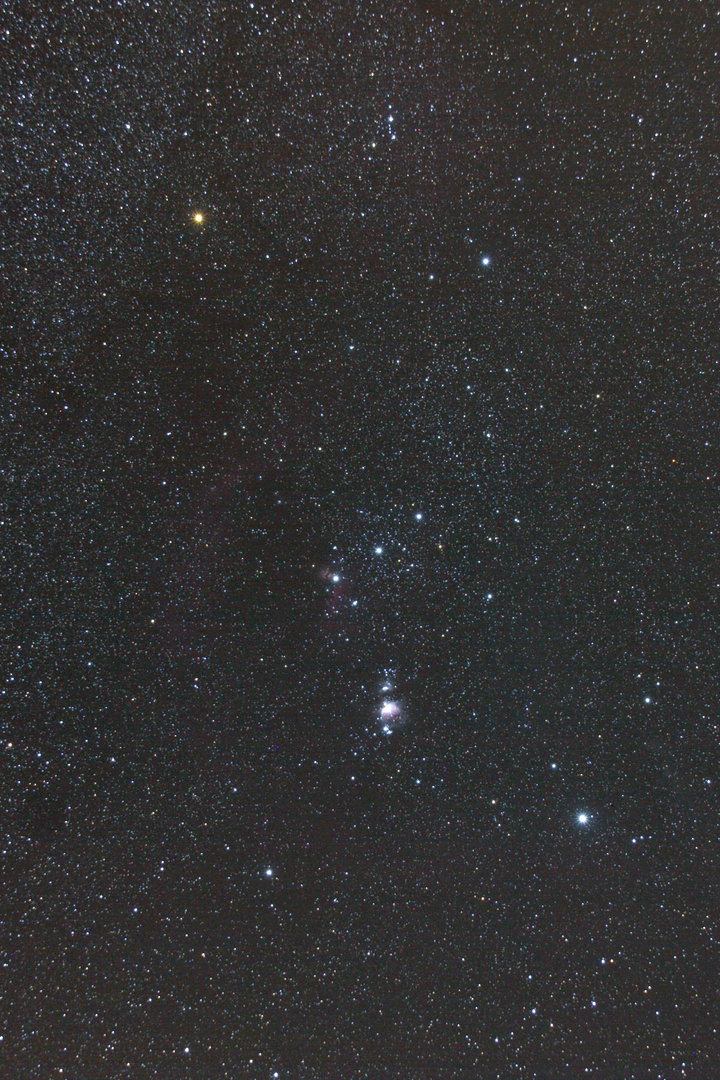 Orion