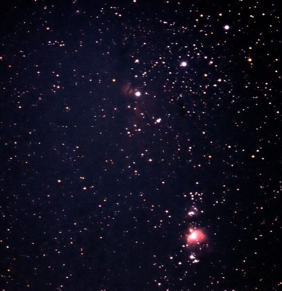 Orion