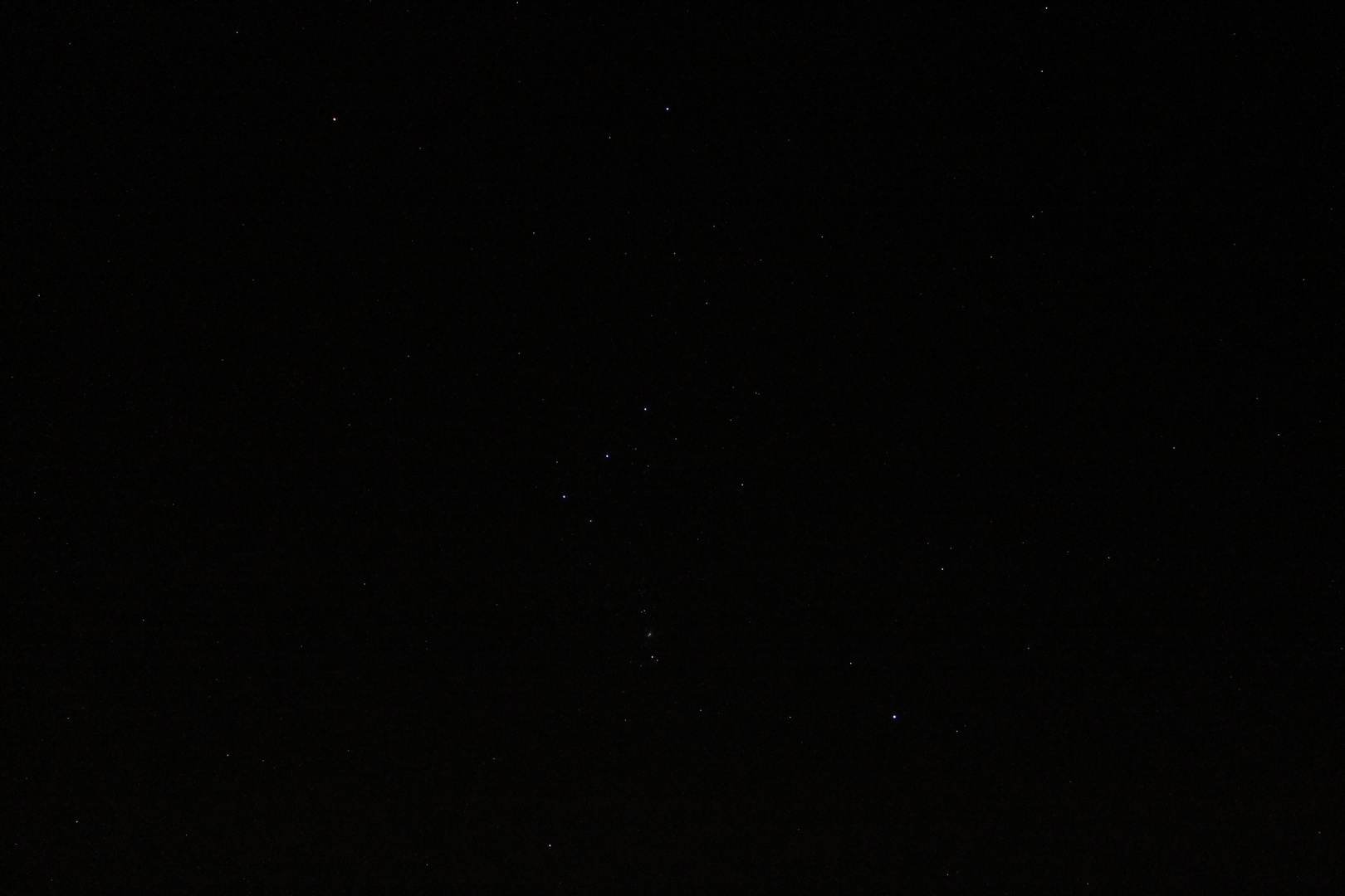 Orion