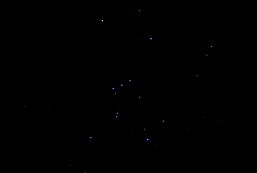 Orion