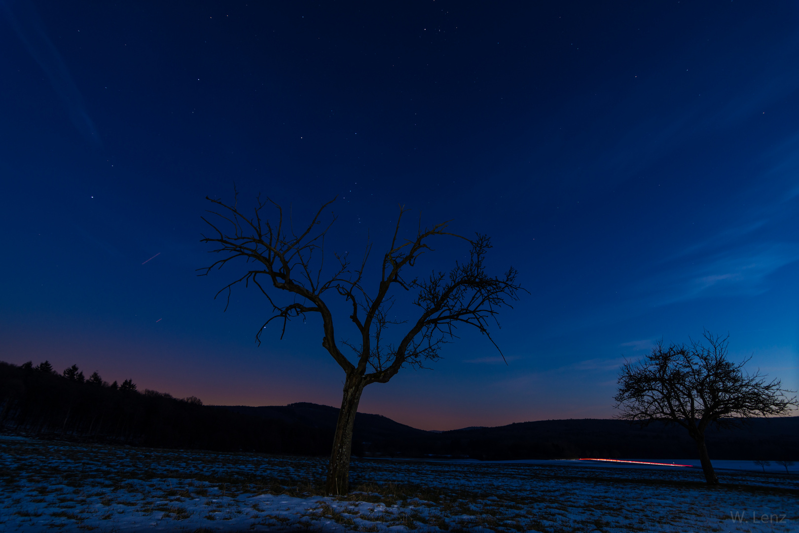 Orion im Baum