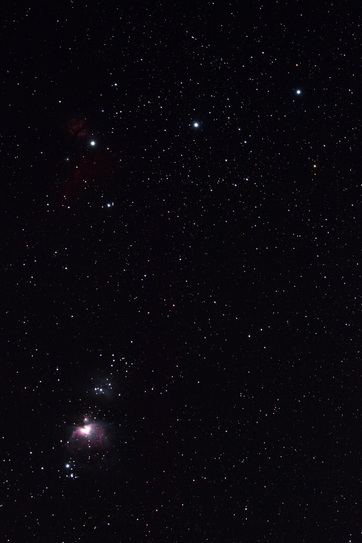 Orion mit Flammennebel und ein "bisschen" Pferdekopfnebel