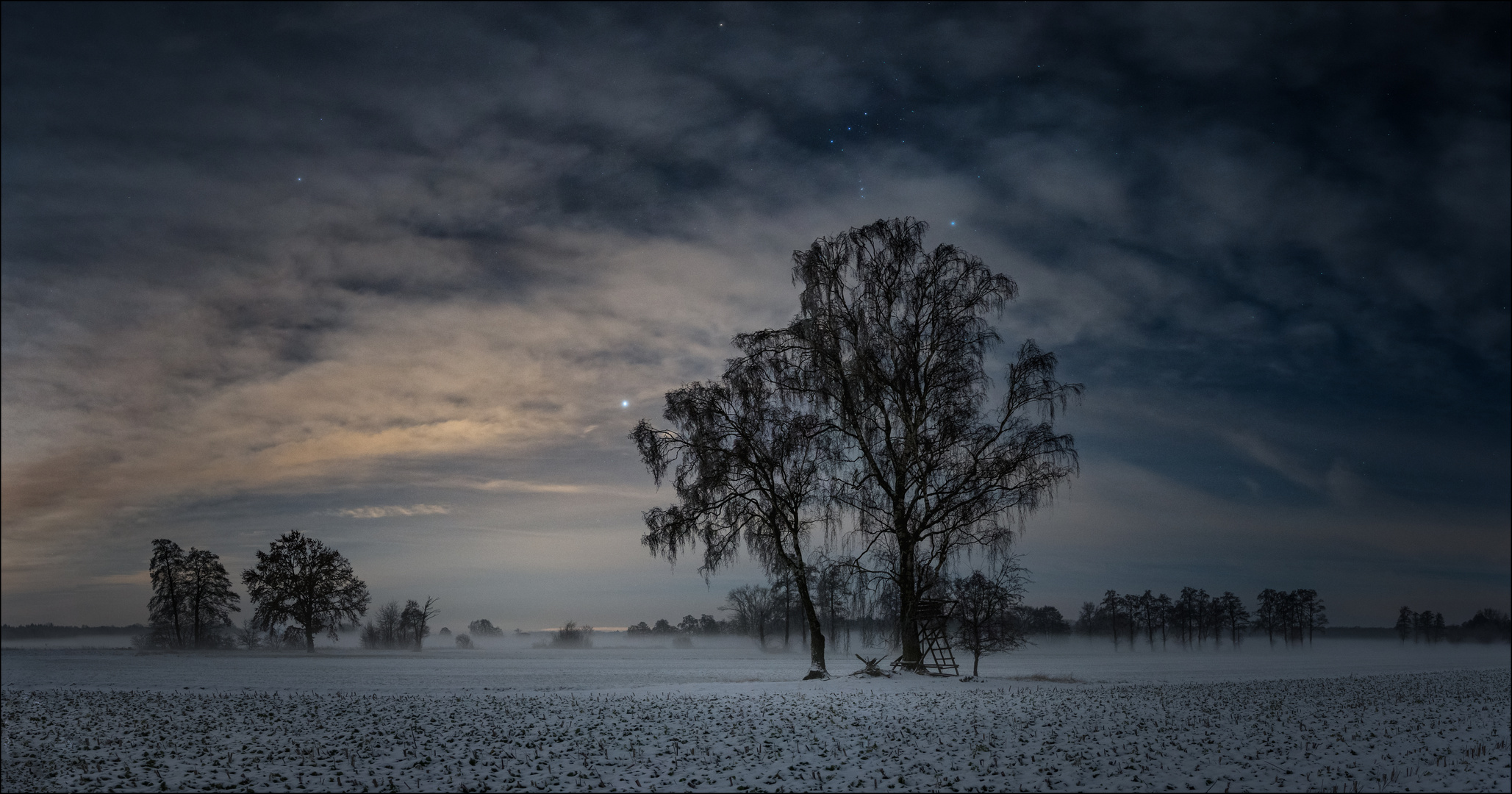 * Orion Tree *