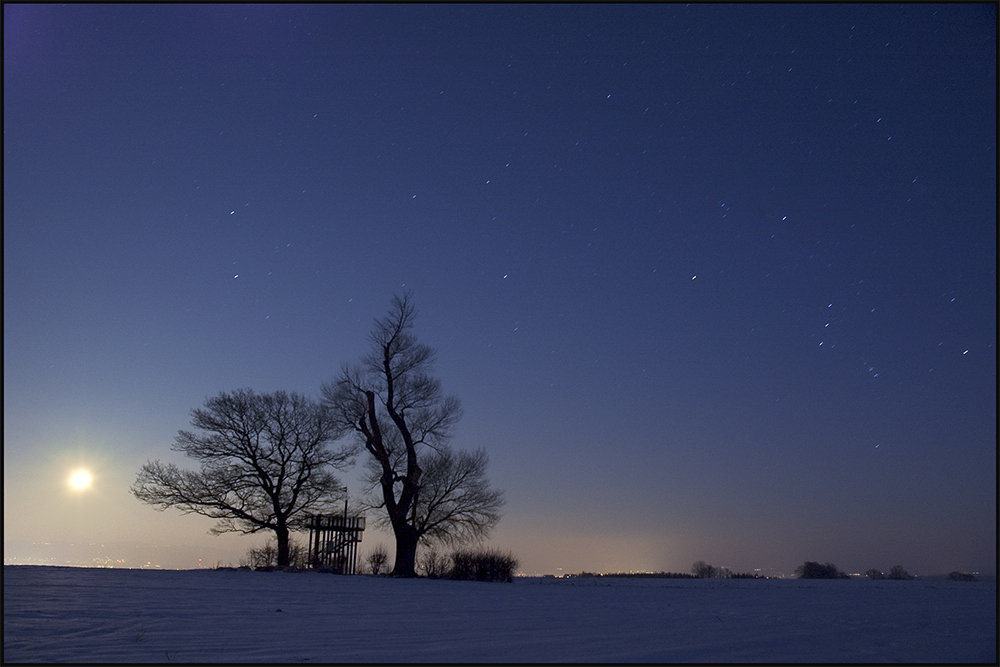 Orion trifft die Zwillinge bei Mondschein