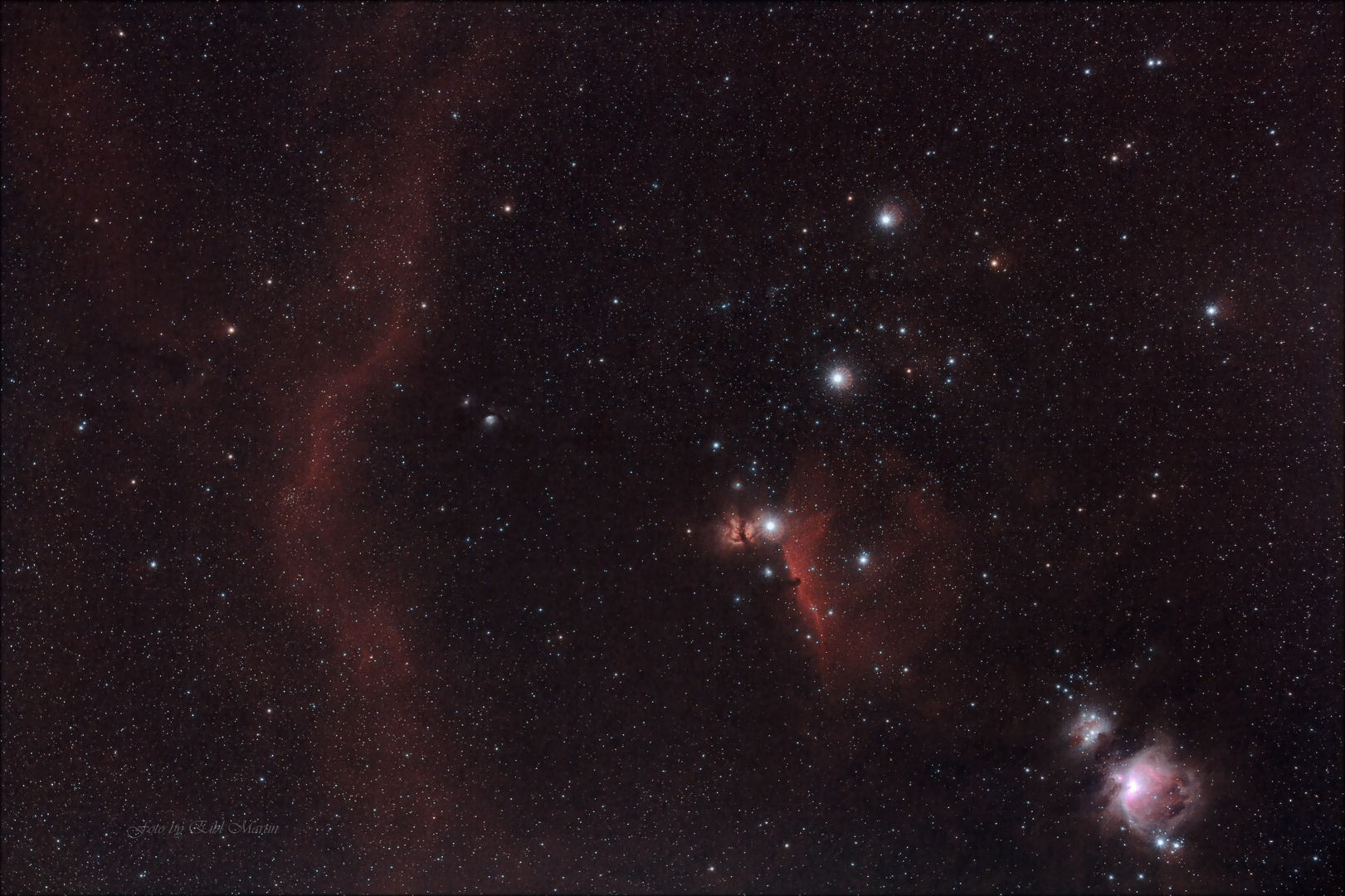 Orion Widefield 