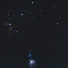 Orion Widefield 